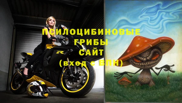 бошки Козловка